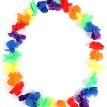Traditional Rainbow Lei 6cm flowerstitled Item