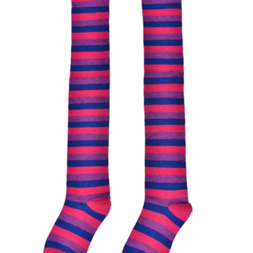 Bi Sexual Welly Socks