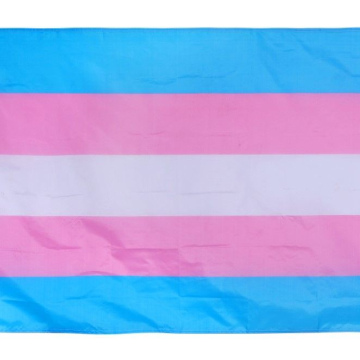 Transgender Flag