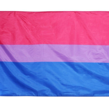 Bi Sexual Flag