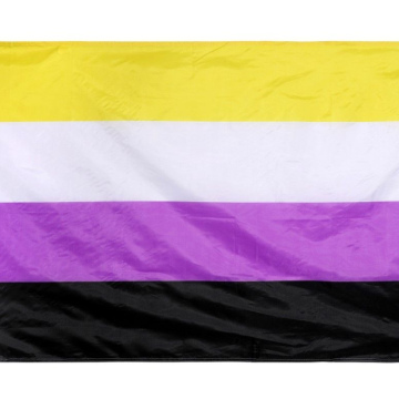 Non Binary Flag