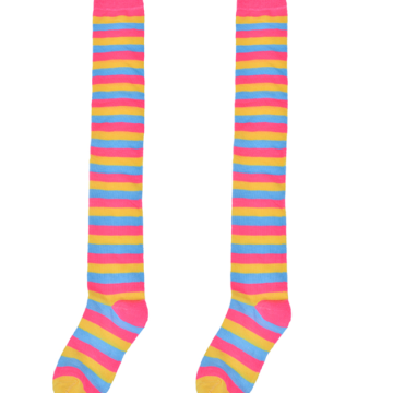 Pan Sexual Welly socks